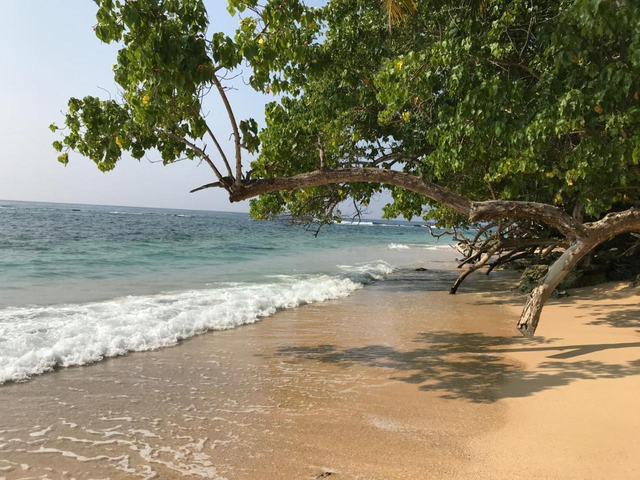 Tiny Royal Palace Unawatuna Dış mekan fotoğraf